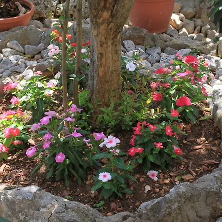 With Parking Space Kukljica, Ugljan - 8237 Διαμέρισμα *